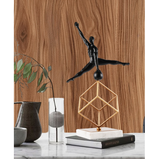 Ball acrobate balance